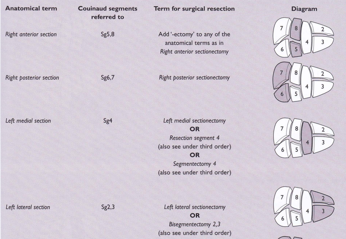 Sector vs Section: a Review of the Brisbane 2000 Classification of ...