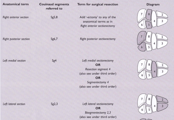 Screen Shot 2018-11-07 at 11.45.39 AM
