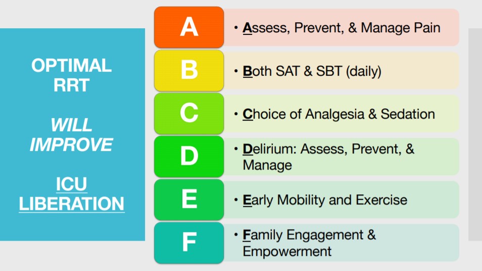 Stepp For Rrt Acute Renal Replacement Therapy in the ICU: Successful RRT Requires ...