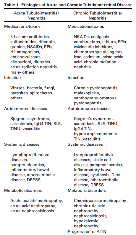 Pathologies of acute tubular necrosis | Surgical Focus
