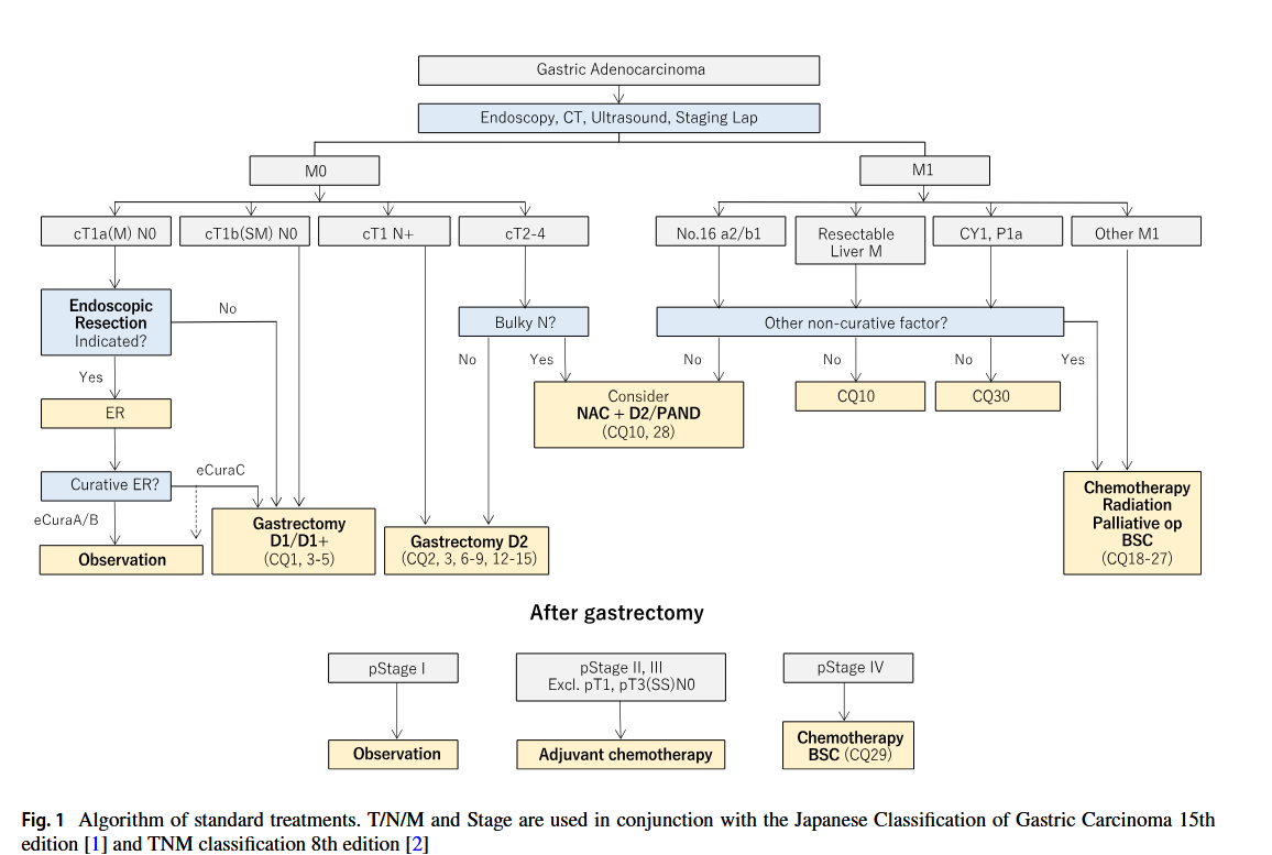 Japanese Gastric Cancer Treatment Guidelines 2021 | Surgical Focus